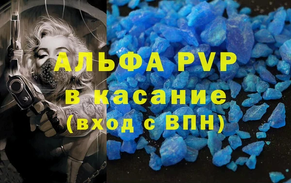 хмурый Алексин