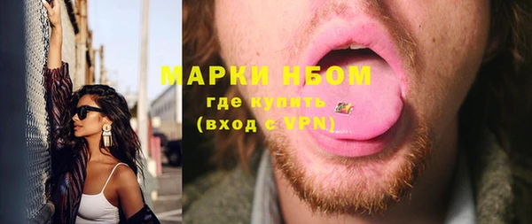 хмурый Алексин