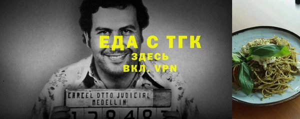 хмурый Алексин