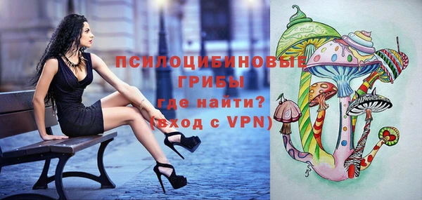 дурь Алзамай