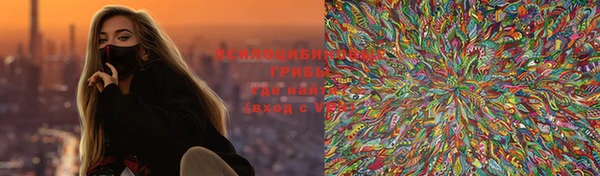 дурь Алзамай