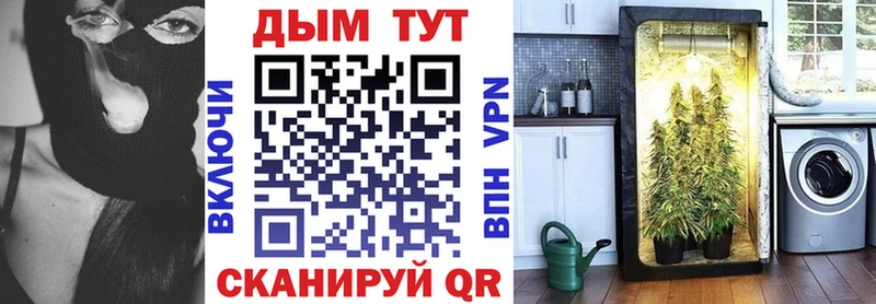 Канабис планчик  Купить где  Володарск 